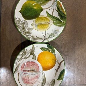 William Sonoma citrus botanical salad bowl
